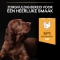 Purina Proplan Large Athletic Healthy Start Puppy Chicken - Complete dog food 12 kg
