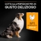 Purina Pro Plan Age defense Medium & Large Adult 7+ with Chicken - Complete food for dogs 14 kg