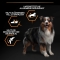 Purina Proplan Everyday Nutrition Medium Adult 1+ with Chicken - Complete food for dogs 3 kg