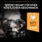 Purina Proplan Everyday Nutrition Medium Adult 1+ with Chicken - Complete food for dogs 3 kg