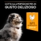 Purina Pro Plan Healthy Start Medium Puppy Chicken - Complete food for dogs 3 kg