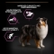 Purina Pro Plan Age Defense Medium & Large Adult 7+ with Chicken - Complete food for dogs 3 kg