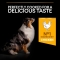 Purina Pro Plan Age Defense Medium & Large Adult 7+ with Chicken - Complete food for dogs 3 kg