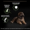 Purina Pro Plan Healthy Start Large Robust Puppy  minore di 2 al Pollo - Alimento completo per cani 12 kg