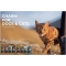 North Atlantic Ocean Fish - Complete food for cats for all life stages 5.4 kg