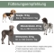 Adult Lamb and Rice - Complete food for adult dogs 5 kg