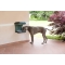 Food Stand - Raised Double Dog Bowl Holder Adjustable Wall Mount Indoor Outdoor Use Green