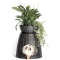 Pasha - Woven Design Kennel Transformable into a Seat for Cats and Small Dogs, Anthracite, 52x50x46-55h cm