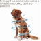 Combotec - 3 Pipettes Antiparasitic for Small Dogs 2-10 kg