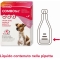 Combotec - 3 Pipettes Antiparasitic for Small Dogs 2-10 kg