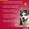 Advantix Spot On - 6 Pipettes for Dogs up to 4 kg