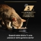 Purina Pro Plan Adult Paté with Chicken - Complete food for adult cats 85g