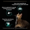 Purina Pro Plan Adult Paté with Chicken - Complete food for adult cats 85g