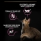 Purina Pro Plan Delicate Adult Optidigest Lamb - Complete food for adult cats 10 kg