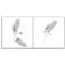 Pulsix - 4 Spot-on Pipettes for Dogs 1.5-4 kg