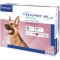 Effipro Duo 268 mg - 4 Pipettes Spot-On Antiparasitic Dog Fleas and Ticks 20-40 kg