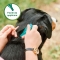 Spot on shield - Natural protection for adult dogs of medium size 15-30 kg 3 vials