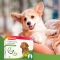 Spot On Shield - Natural Protection for Dogs and Puppies 3 Vials