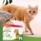 Spot On Shield - Natural Protection for Kittens 3 vials
