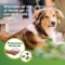 Natural Protection - Shield Shampoo for Dogs and Cats 250 ml