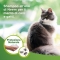 Natural Protection - Shield Shampoo for Dogs and Cats 250 ml