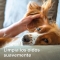 Natural Protection - Ear Cleaner for Dogs and Cats 50 ml