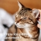 Natural Protection - Ear Cleaner for Dogs and Cats 50 ml
