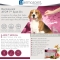 Atop 7 Spot-On - Calming treatment for dogs 10-20 kg 4 Pipettes of 1.2 ml