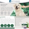 Pyo spot - Purifying spot-on for dogs of 20-40 kg 4 pipettes of 2.4 ml
