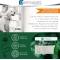 Pyo spot - Purifying spot-on for dogs of 20-40 kg 4 pipettes of 2.4 ml