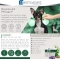 Pyo spot - Purifying spot-on for dogs 0-10 kg 4 pipettes of 0.6 ml