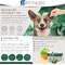 Pyoclean Oto - Purifying Ear Cleaner for Dogs and Cats 10 Single-Dose 5 ml Bottles