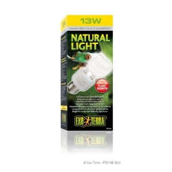 PT2190 Repti 13W-2.0 - Compact Low-UVB Fluorescent Lamp for Nocturnal Amphibians and Reptiles