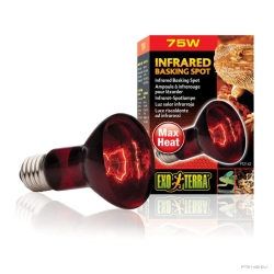 PT-2142 R20-75W - Infrared Lamp for Terrariums