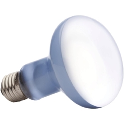 PT2132 Sun Glo R20-75W - Wide Spectrum Neodymium Daylight Lamp for Reptiles and Plants with UVA Rays