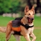 Dog Scout - Nylon Backpack for Medium and Large Dogs with Reflective Stripes