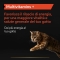 Purina Pro Plan Multivitamins + Complementary food for cats 60 g