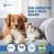 Aloeplus Zampet - Protective and Regenerating Paw Cream for Dogs and Cats 50 ml