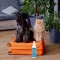 Dental Toothbrush Spray for Dogs and Cats 94 ml