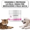 Pawbliss - Cream for chapped and irritated paws for dogs and cats 50 ml