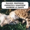 Sanipaws - Natural Sanitizing Spray for Dog and Cat Paws 150 ml