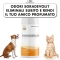 Amodeo - Instant Deodorant to Eliminate Unpleasant Odors 150 ml