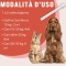 Magilus - Complementary feed for dogs and cats 100 ml