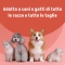 Magilus - Complementary feed for dogs and cats 100 ml