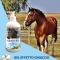 Equirelax - Ice-Effect Gel for Sport Horses 500 ml