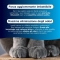 Ever Clean Litterfree Paws - Cat Litter 10 L