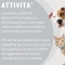 Argenial - 15 Sanitizing Wipes for Dogs and Cats with Colloidal Silver and Sodium Hyaluronate