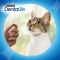 Dentalife - Anti-Tartar and Plaque Dental Snack for Adult Cats, Chicken Flavor, 40g