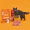 Treats Chicken - Chicken snack for cats 60 gr
