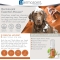 Essential Mousse - Leave-in Moisturizing and Soothing Cleanser for Dogs and Cats 150 ml